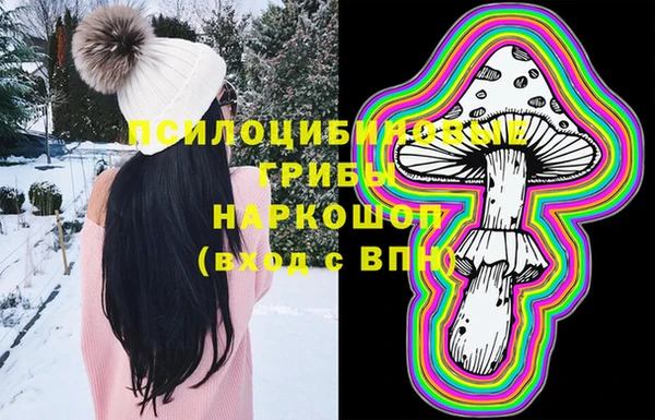ГАЛЛЮЦИНОГЕННЫЕ ГРИБЫ Алзамай