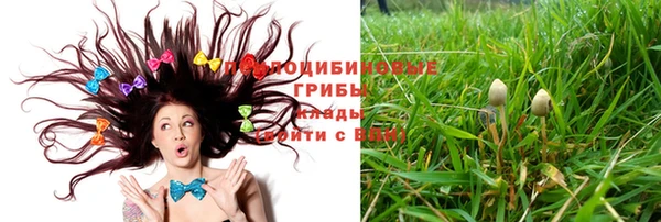 ГАЛЛЮЦИНОГЕННЫЕ ГРИБЫ Алзамай