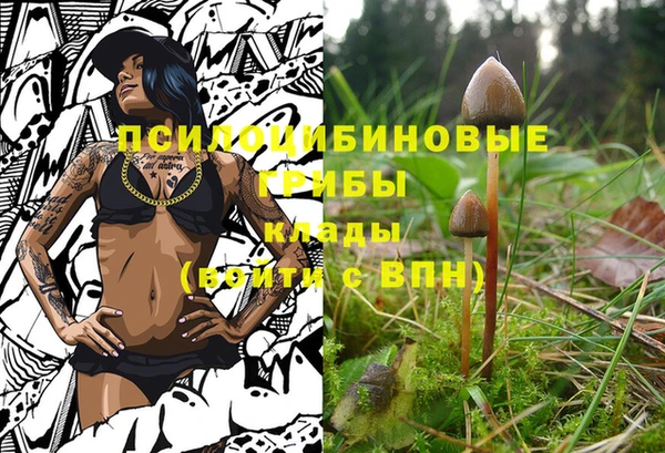 МДПВ Лиски