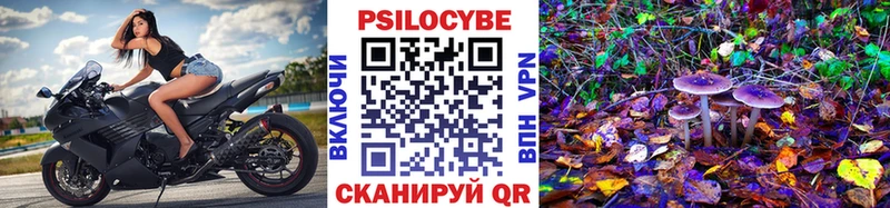 Галлюциногенные грибы GOLDEN TEACHER  купить  цена  Петрозаводск 