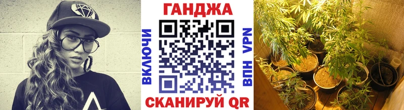 Конопля сатива  Петрозаводск 